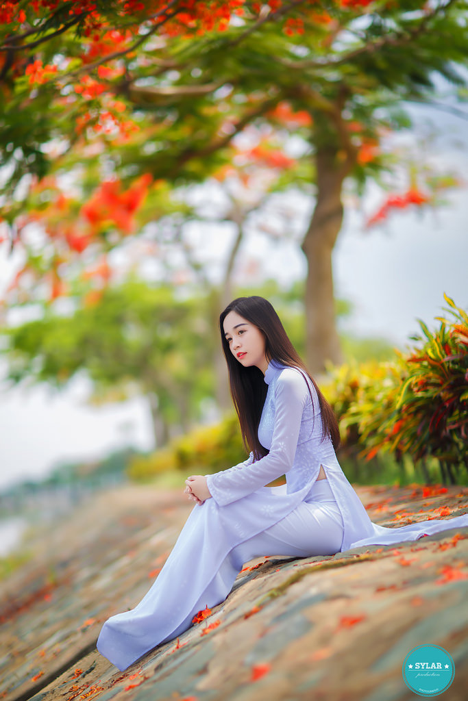 全职法师第七季免费观看